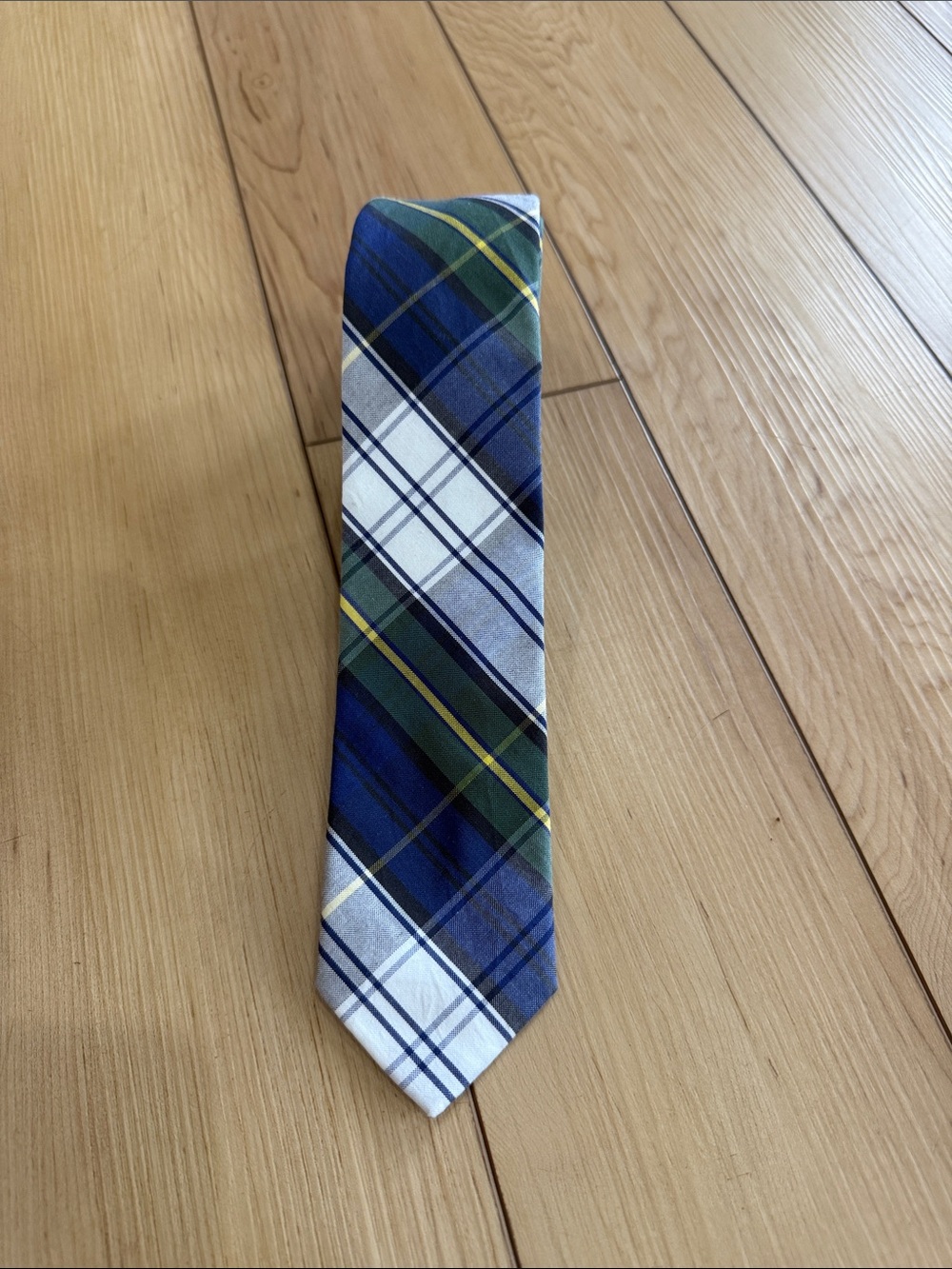 Croton Blue, Green & White Plaid Men's Tie